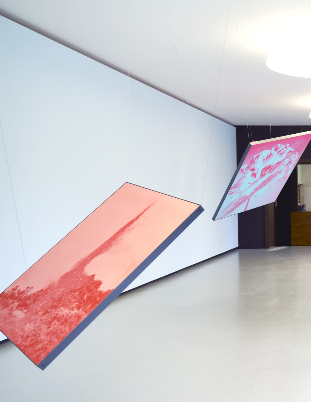 Mauren Brodbeck, Anima Flora, 2021
