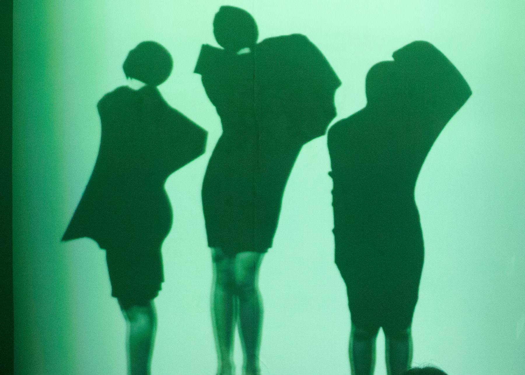 Mauren Brodbeck, Shame, 2013