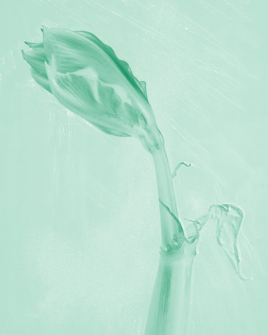 Mauren Brodbeck, Muted Fragment, 2021