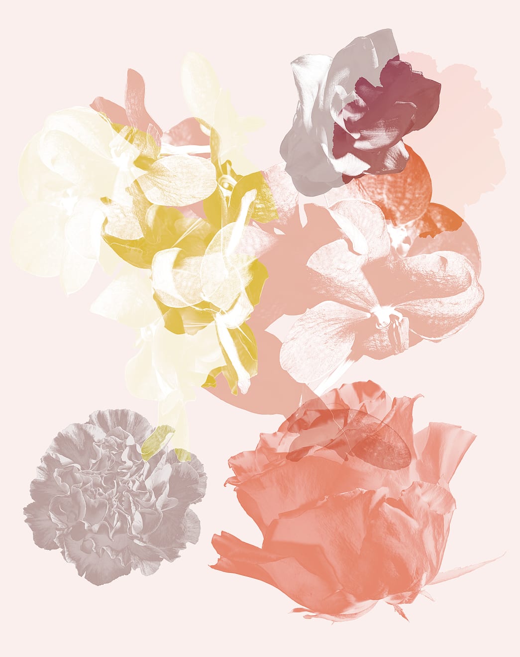 Mauren Brodbeck, Untitled 06, 2014
