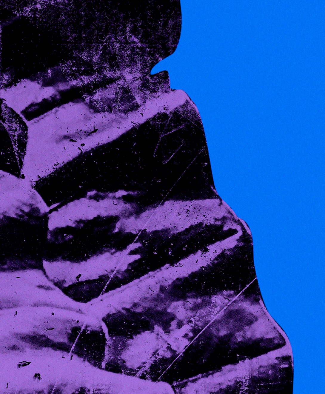 Mauren Brodbeck, Leafs 04, 2019