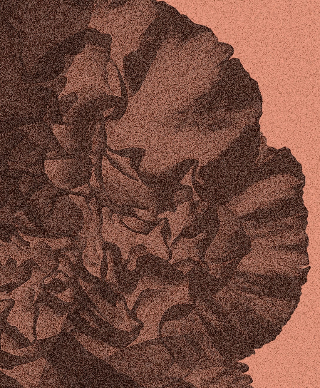 Mauren Brodbeck, Untitled 003, 2014