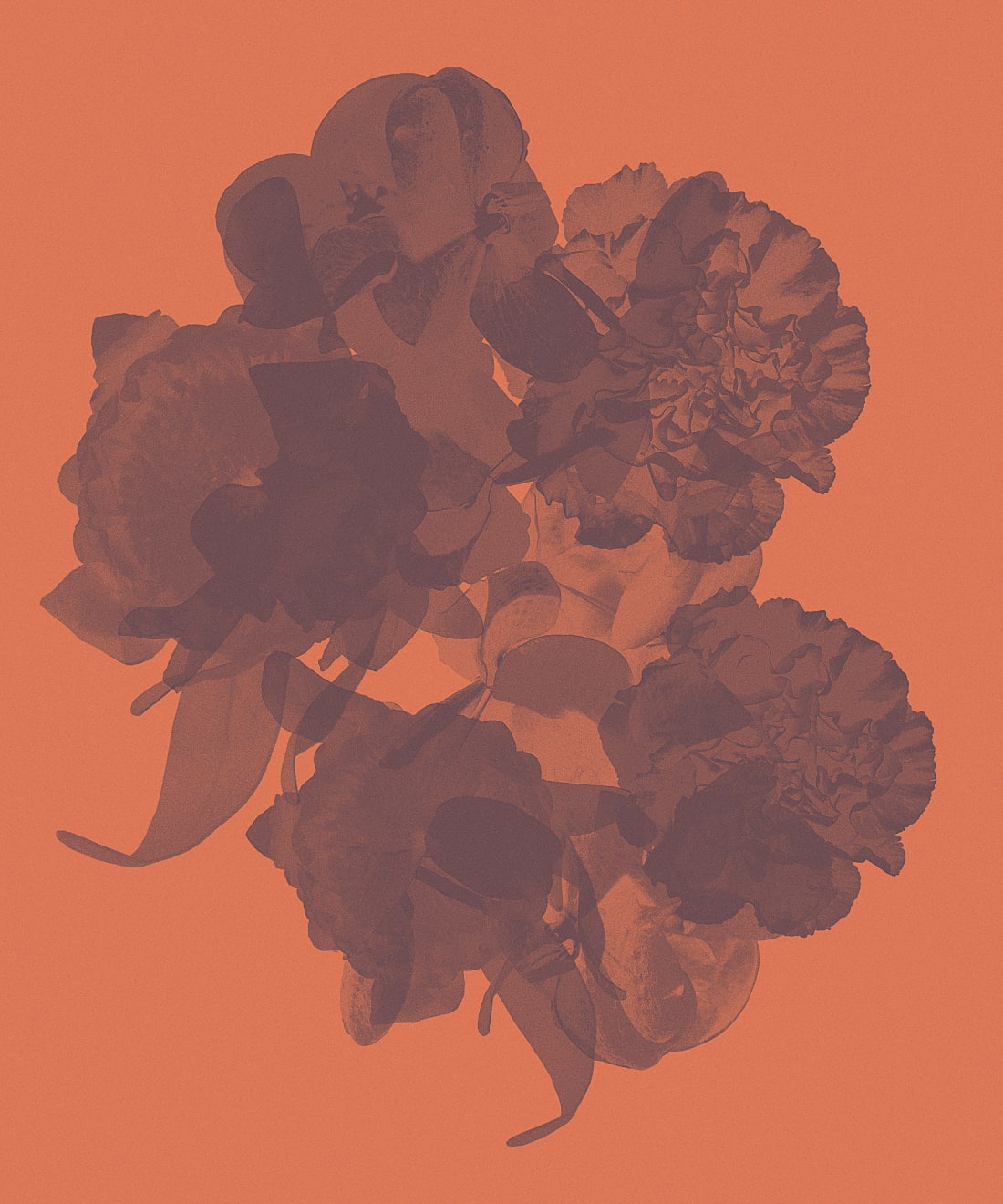 Mauren Brodbeck, Untitled 002, 2014