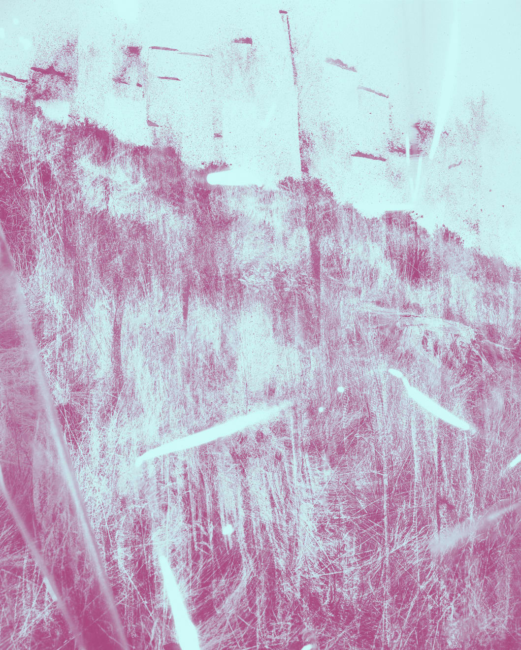 Mauren Brodbeck, Fantomatic Discomposure, 2021