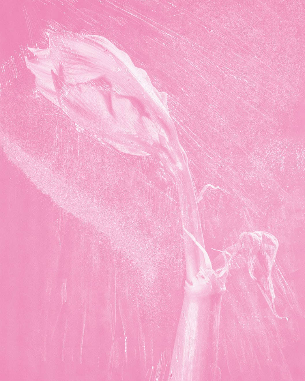 Mauren Brodbeck, Fragment, 2021