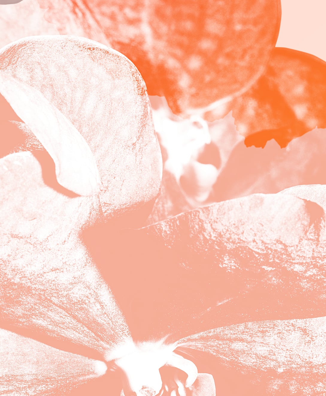 Mauren Brodbeck, Untitled 06, 2014