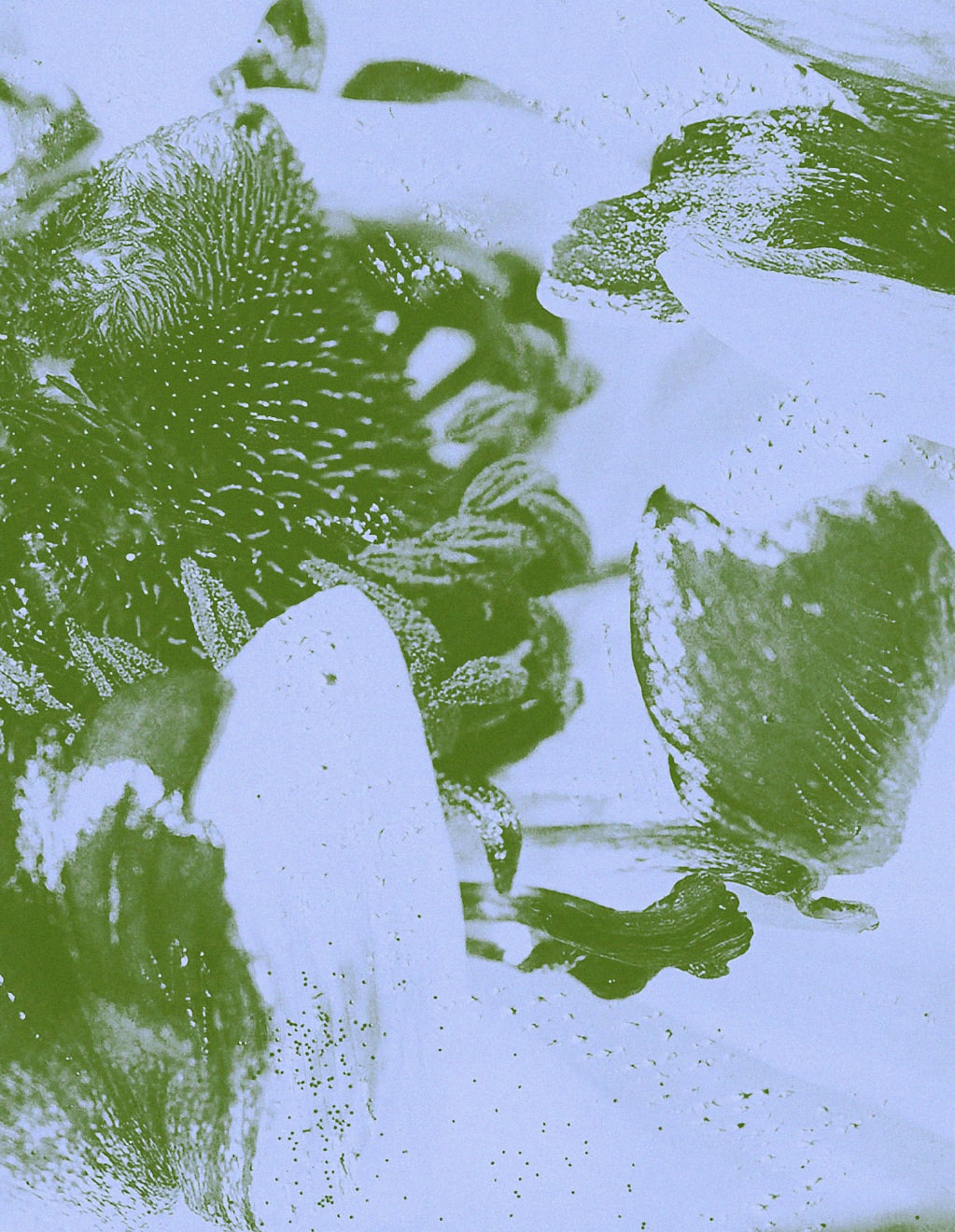 Mauren Brodbeck, Anima Anima, 2021