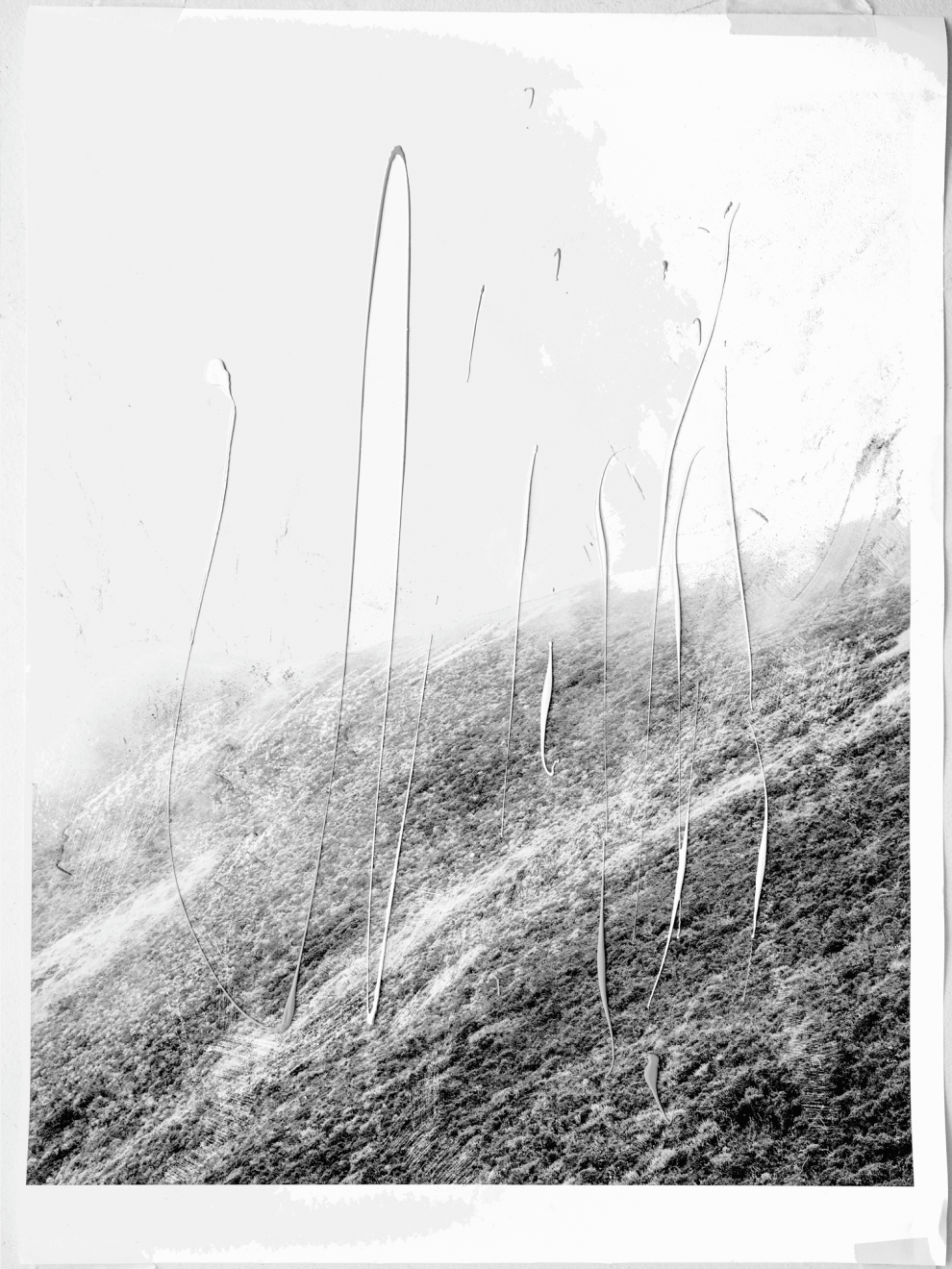 Mauren Brodbeck, Interplay 0, 2019