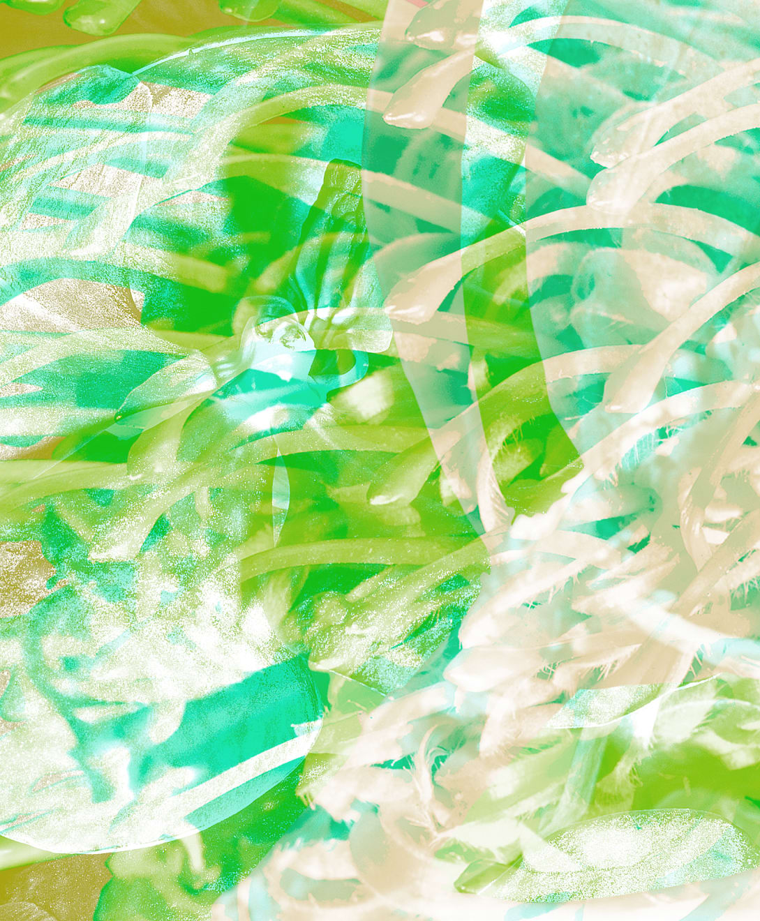 Mauren Brodbeck, Untitled 13, 2014