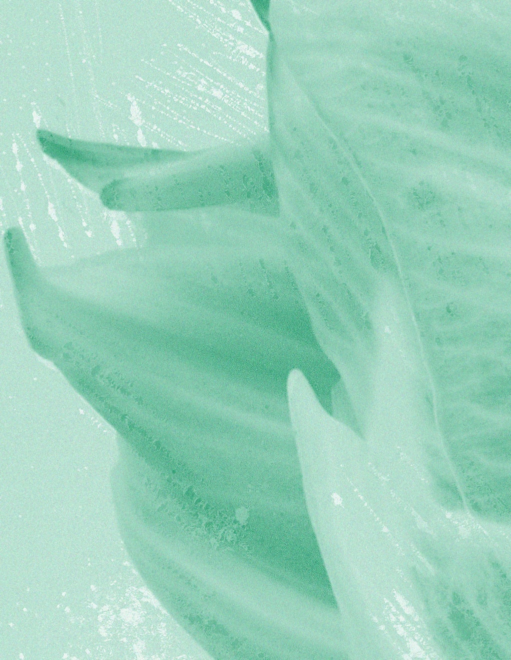 Mauren Brodbeck, Muted Fragment, 2021