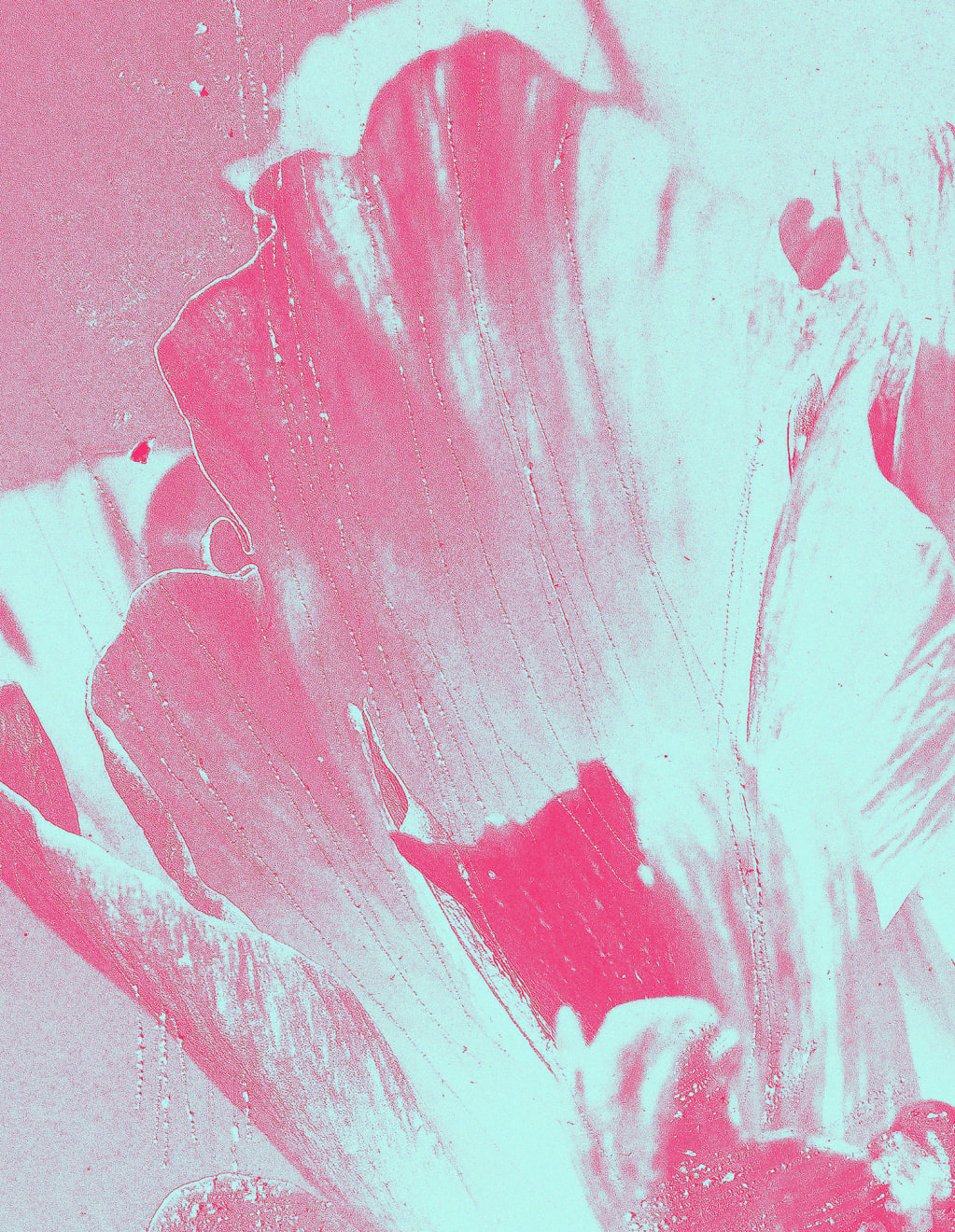 Mauren Brodbeck, Anima Flora, 2021