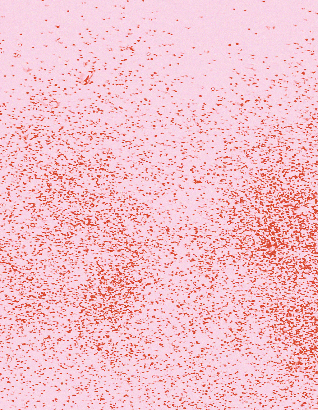 Mauren Brodbeck, Eternal Convolution, 2021