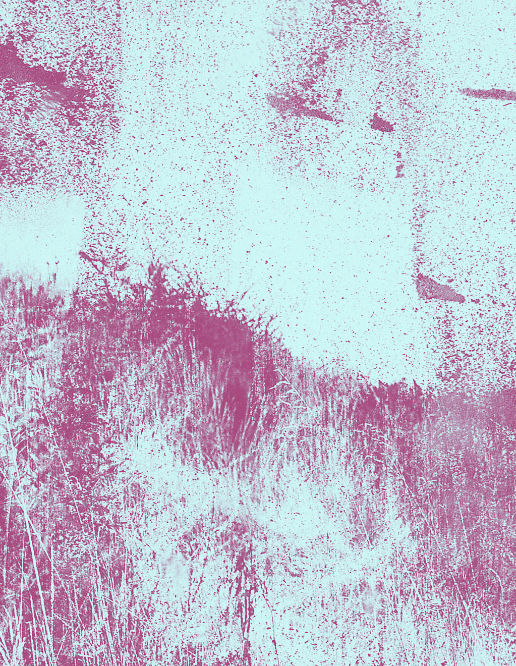 Mauren Brodbeck, Fantomatic Discomposure, 2021