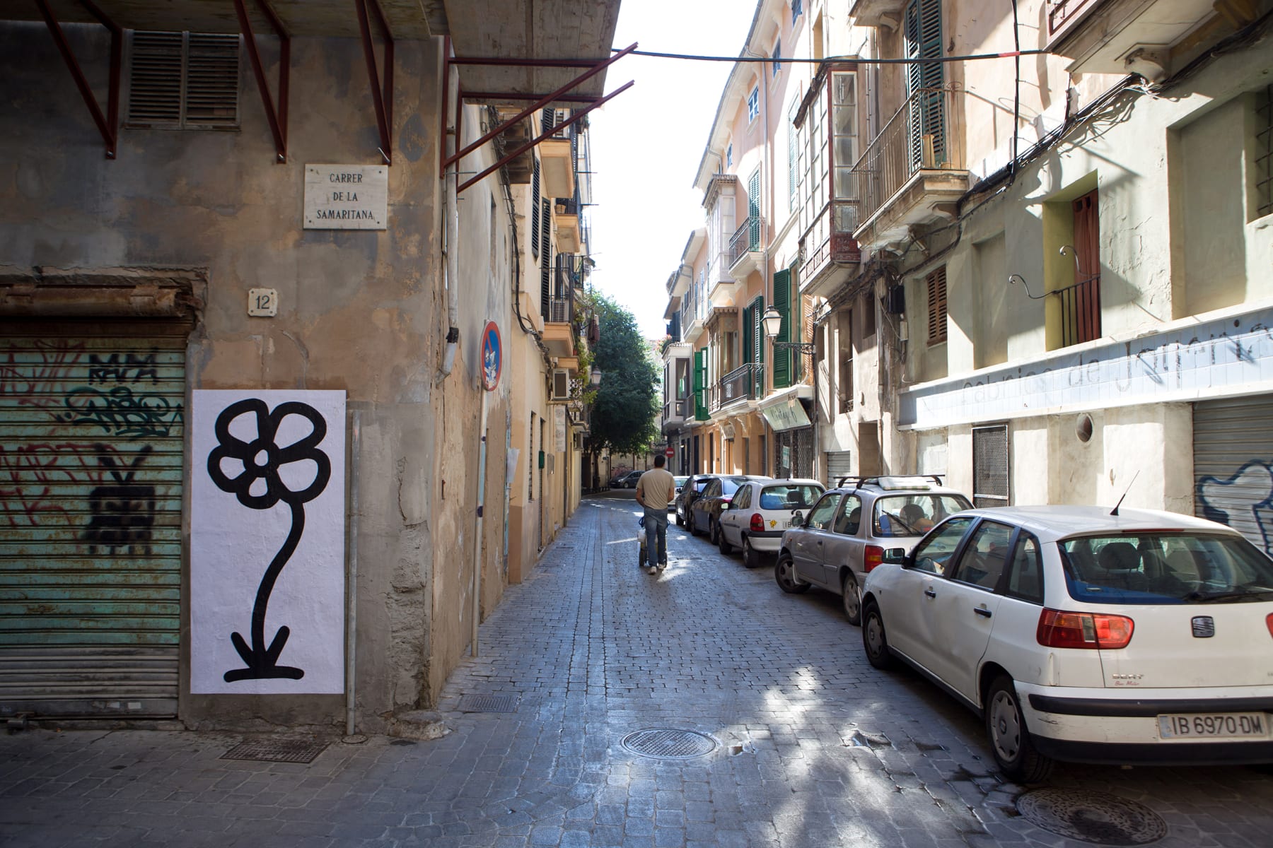 Michael De Feo, Flower (Palma, Mallorca, Spain), 2015