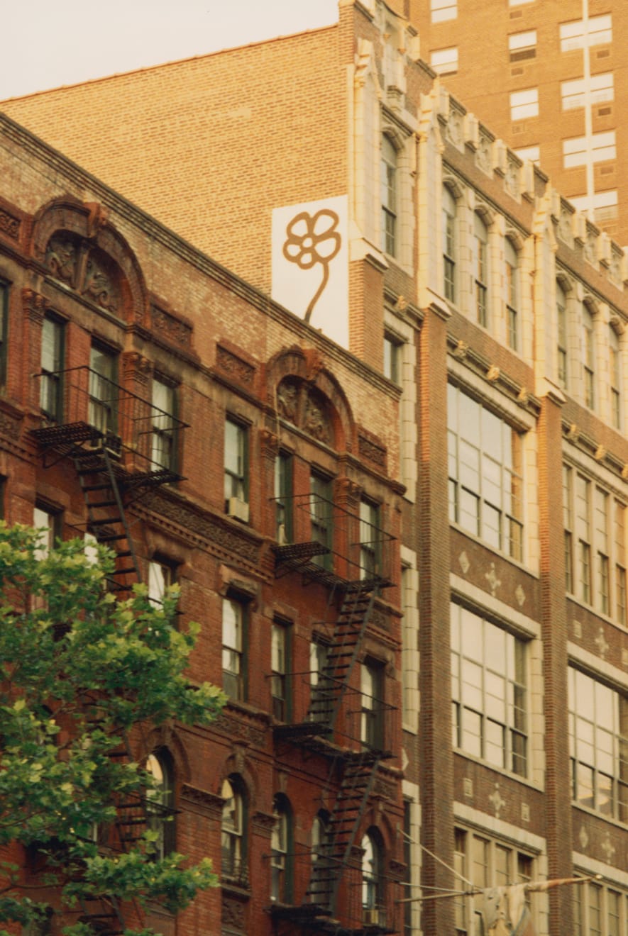 Michael De Feo, Flower (East 23rd Street, New York, New York), 1994