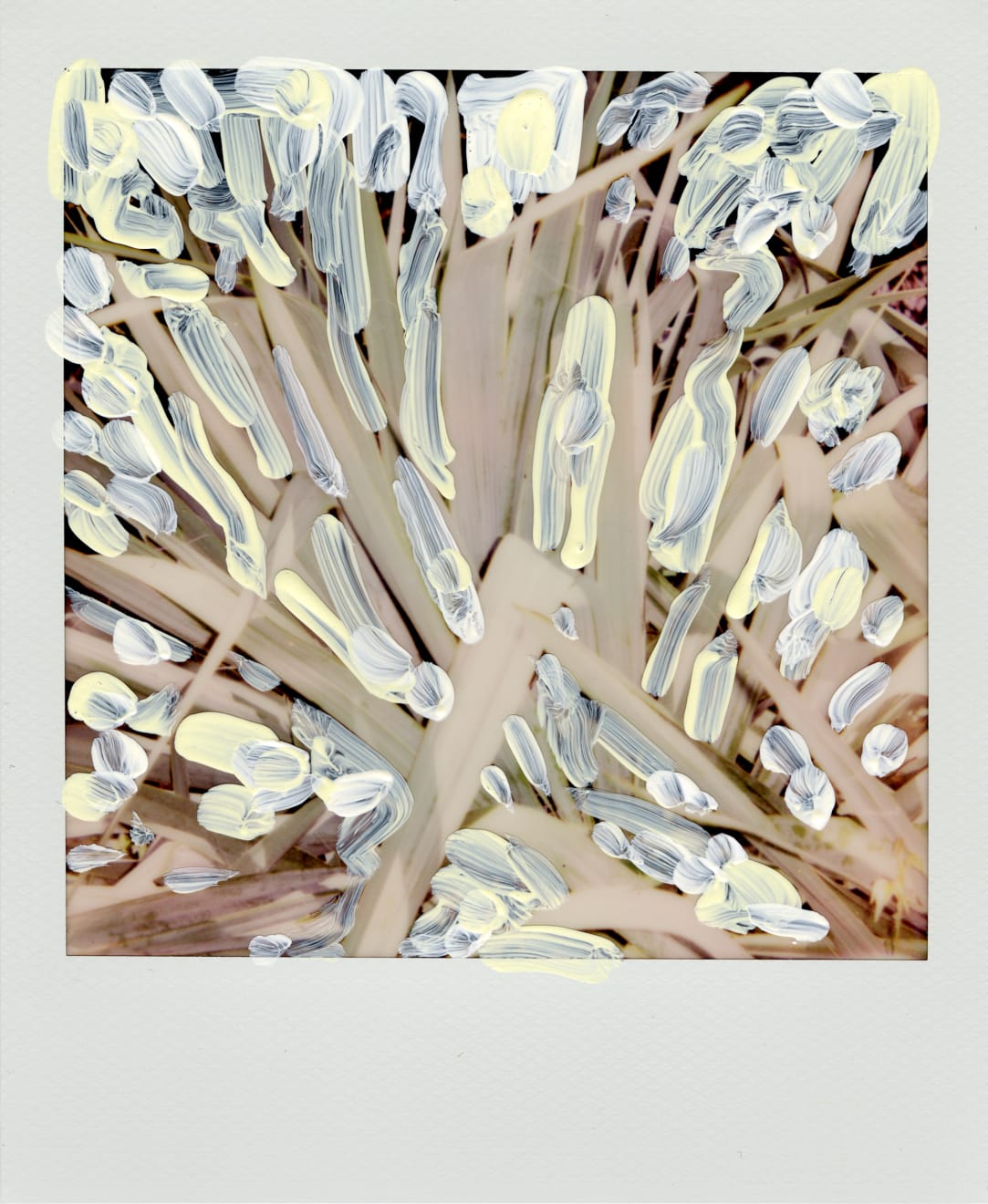 Michael De Feo, Untitled, 2020