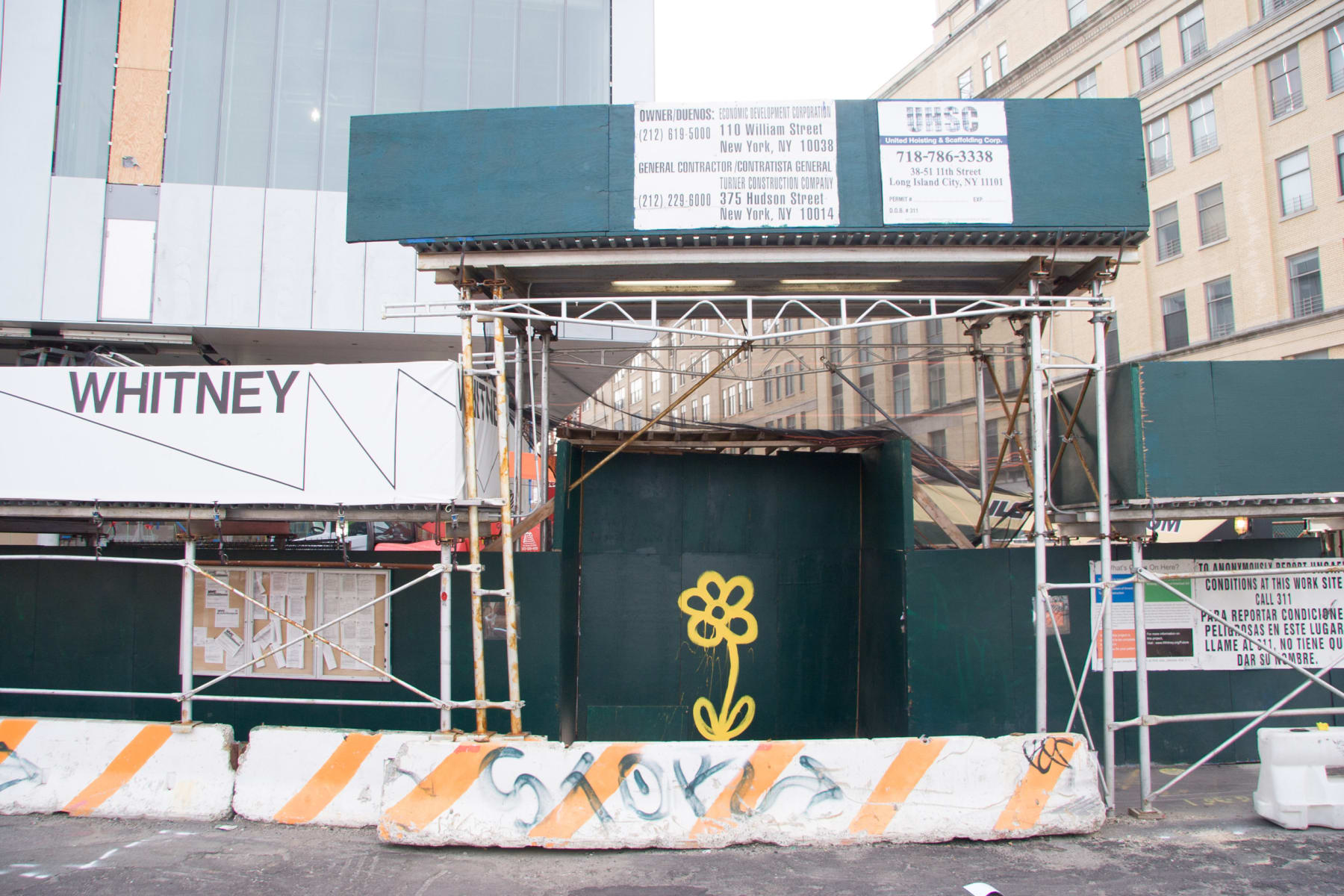 Michael De Feo, Flower (Whitney Museum, New York, New York), 2014