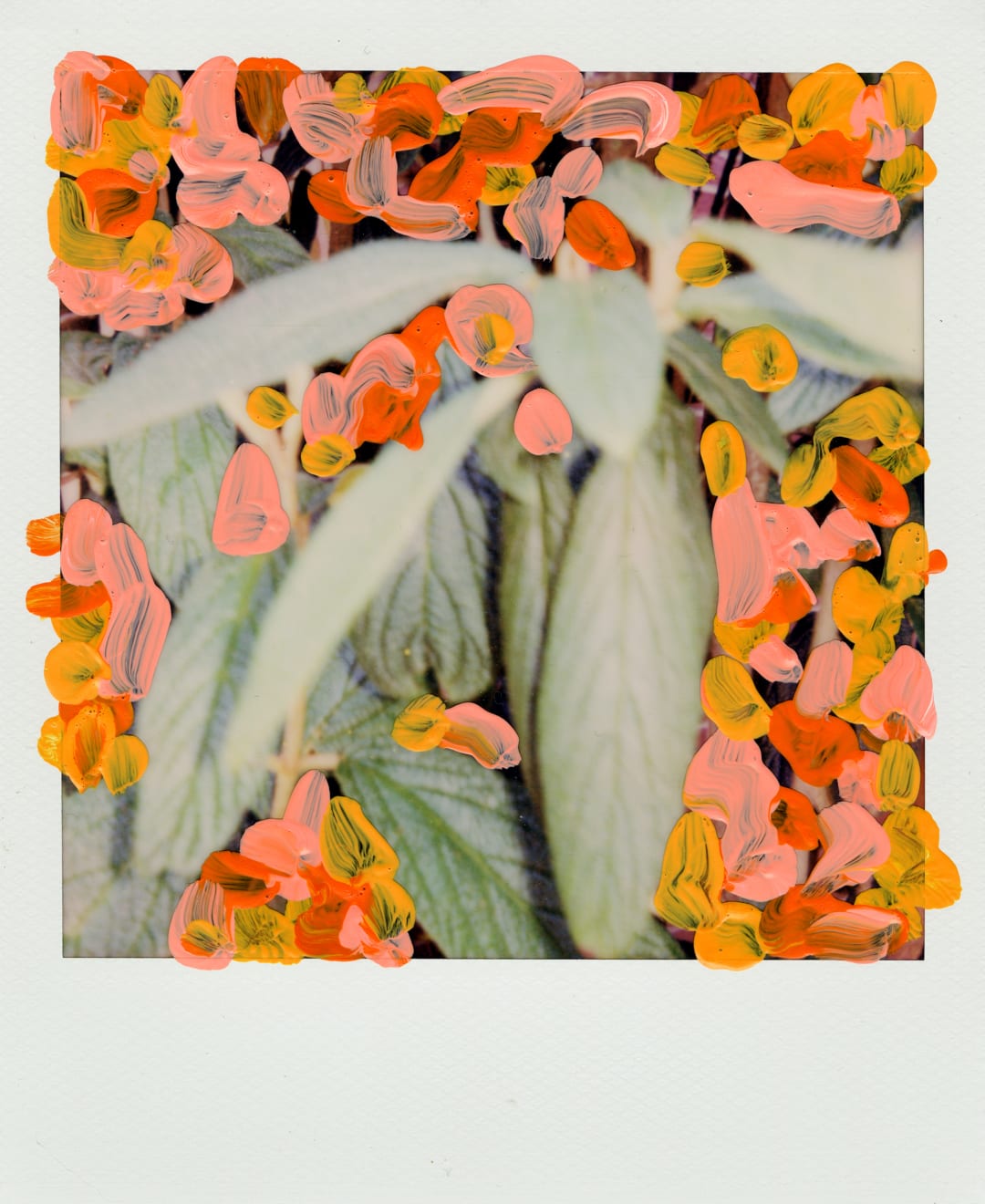 Michael De Feo, Untitled, 2020