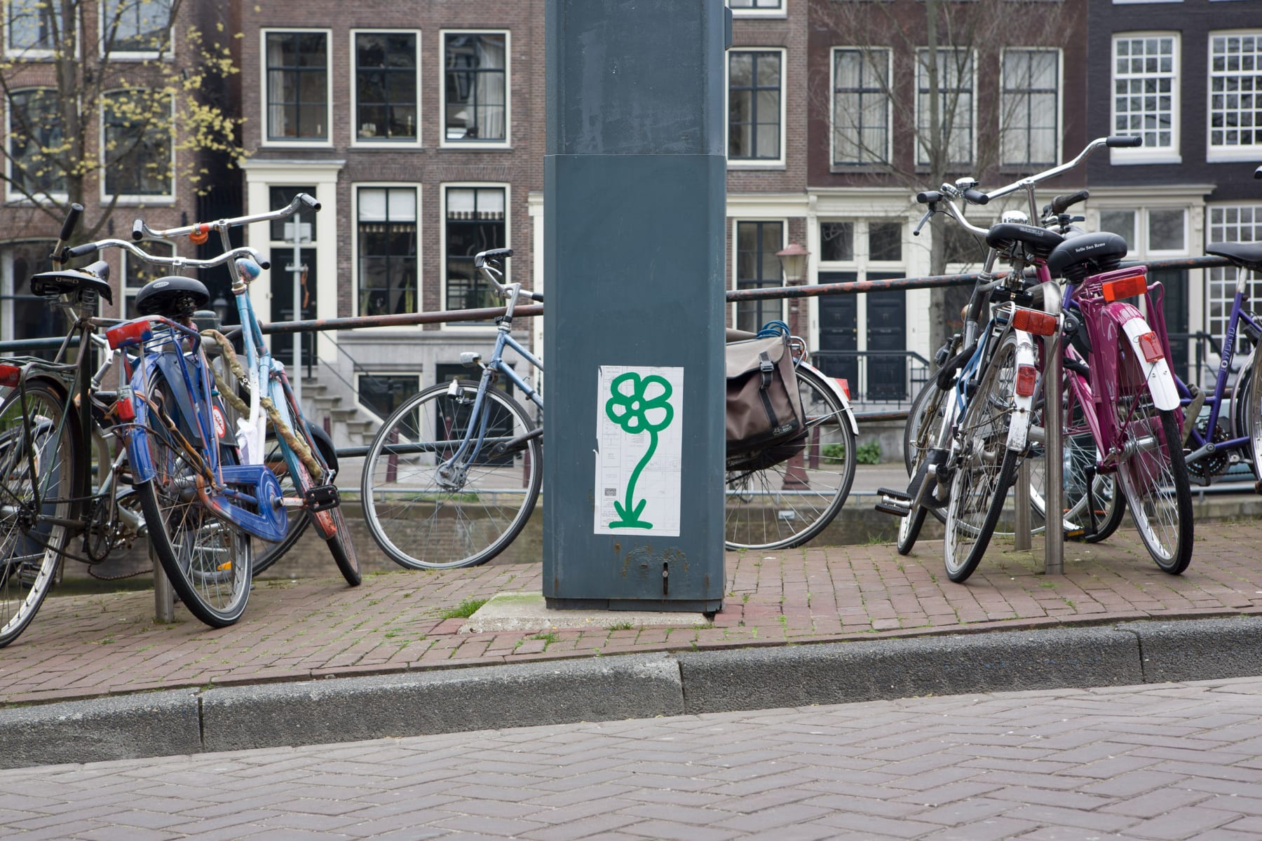 Michael De Feo, Flower (Amsterdam), 2008