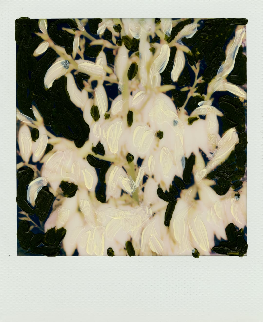 Michael De Feo, Untitled, 2020