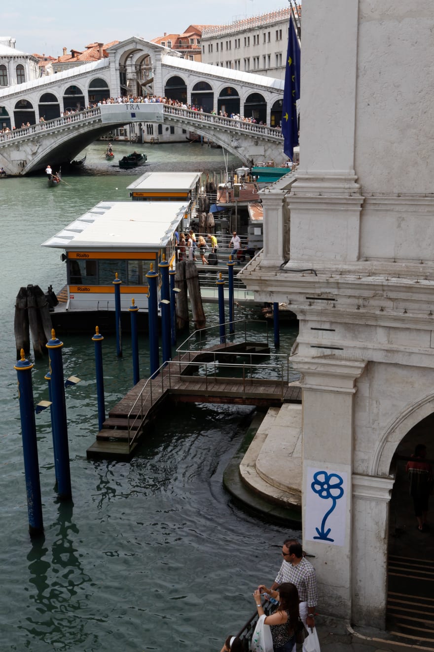 Michael De Feo Flower Venice Italy 2011