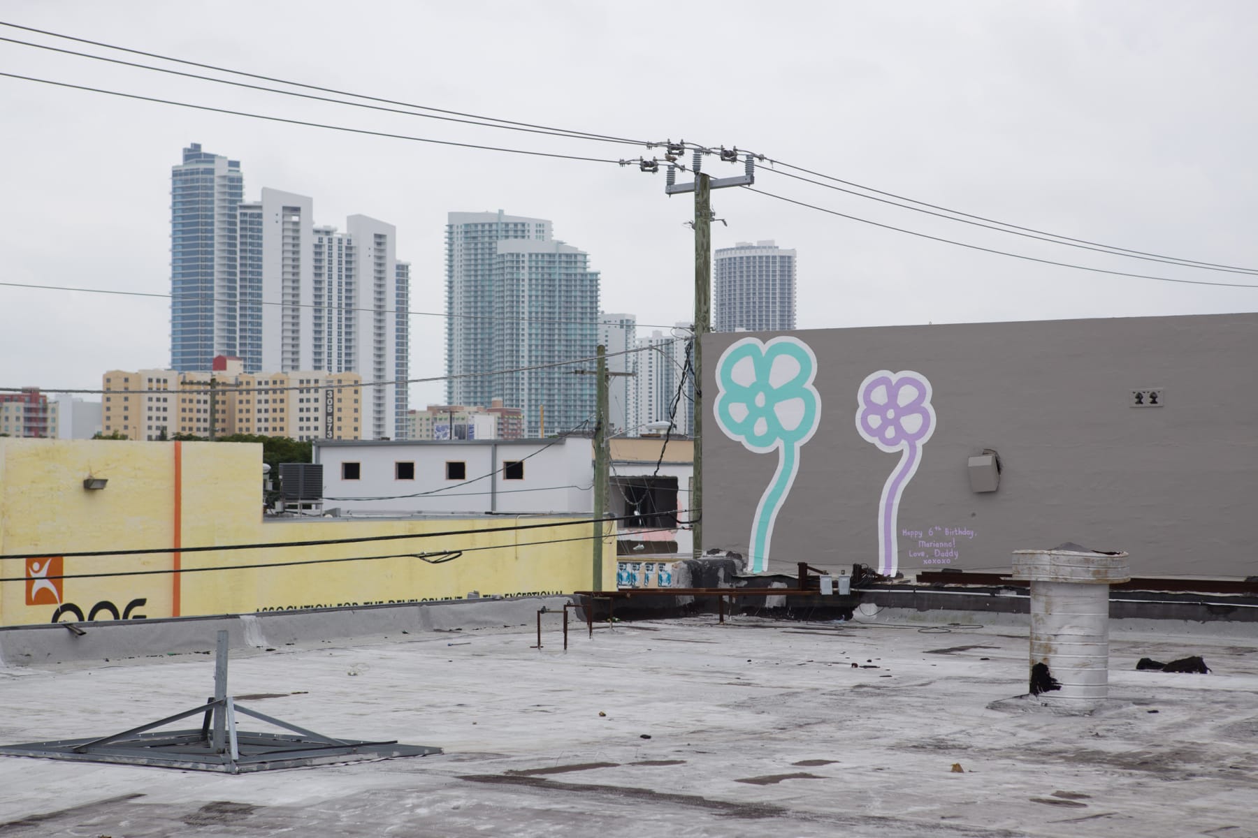 Michael De Feo, Miami, Florida, 2009