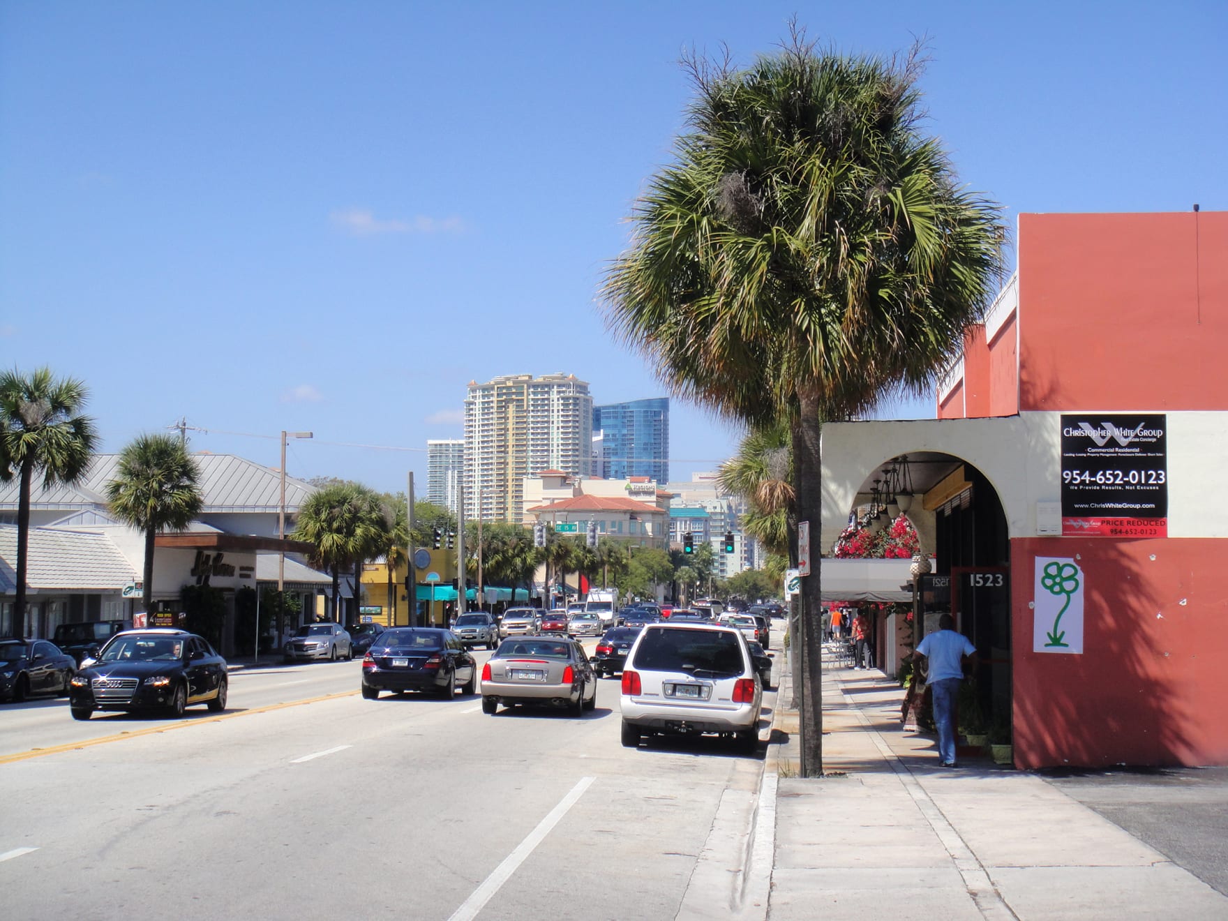 Michael De Feo, Flower (Fort Lauderdale, Florida), 2010