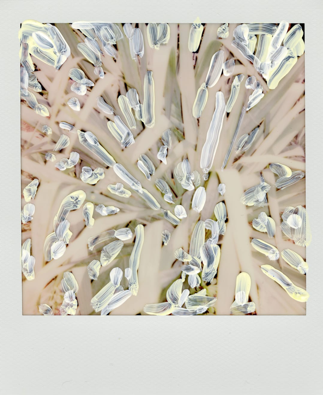 Michael De Feo, Untitled, 2020