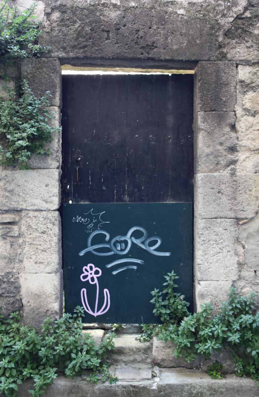 Michael De Feo, Flower (Saint-Rémy-de-Provence, France), 2019