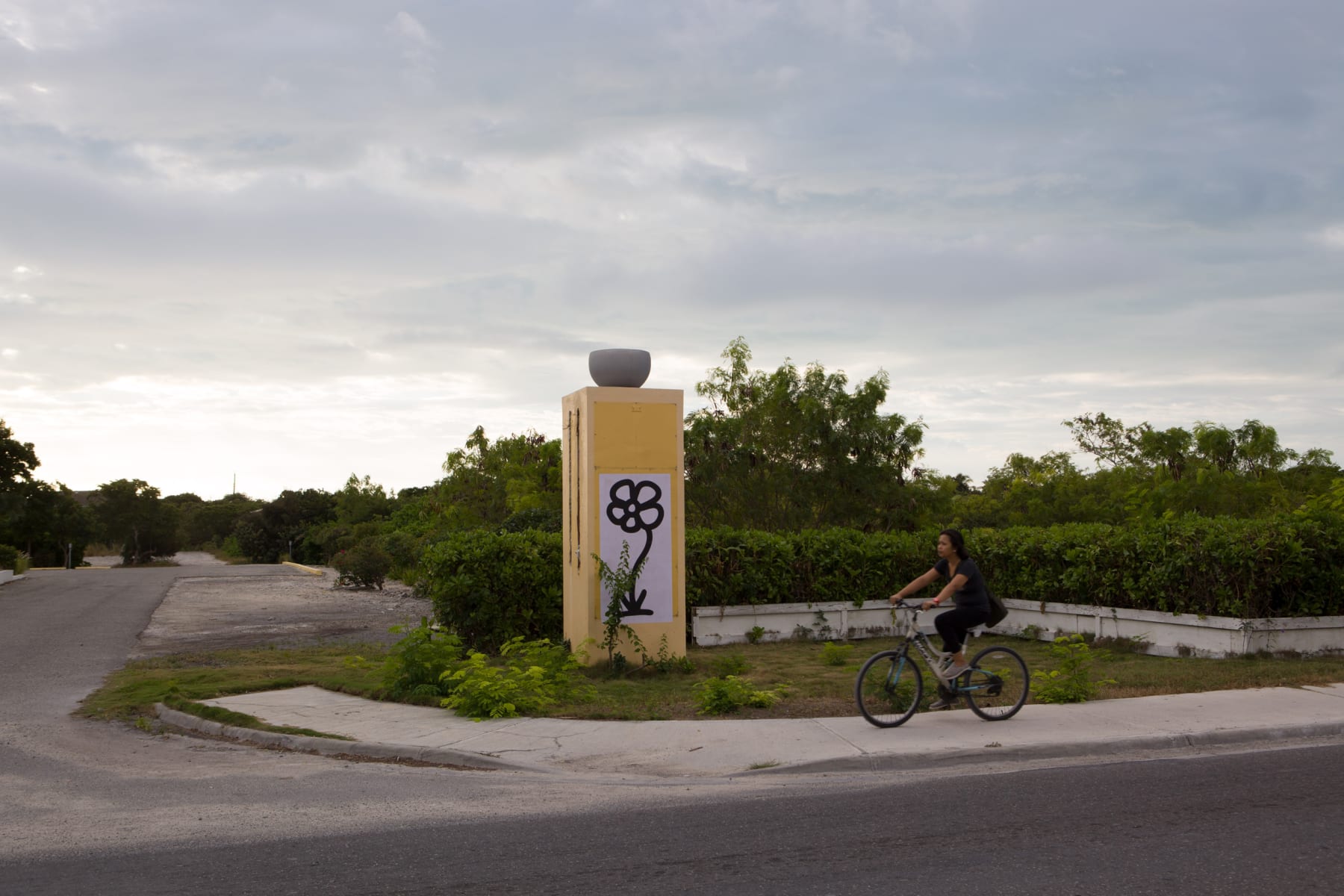 Michael De Feo, Flower (Turks and Caicos), 2014