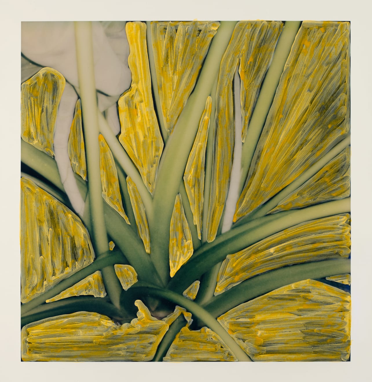 Michael De Feo, Untitled (Polaroid Painting 04), 2021