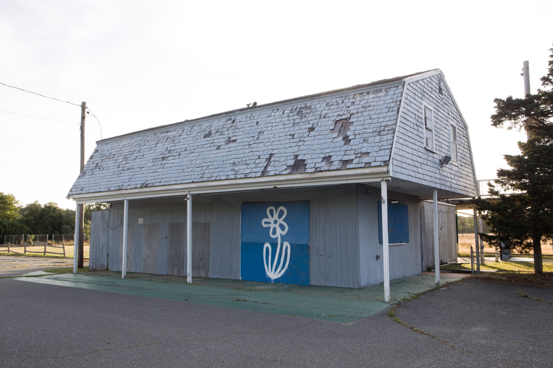 Michael De Feo, Flower (Cape Cod, Massachusetts), 2017