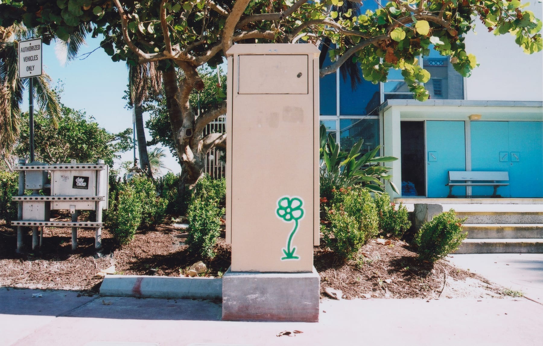 Michael De Feo, Flower (Miami, Florida), 2005