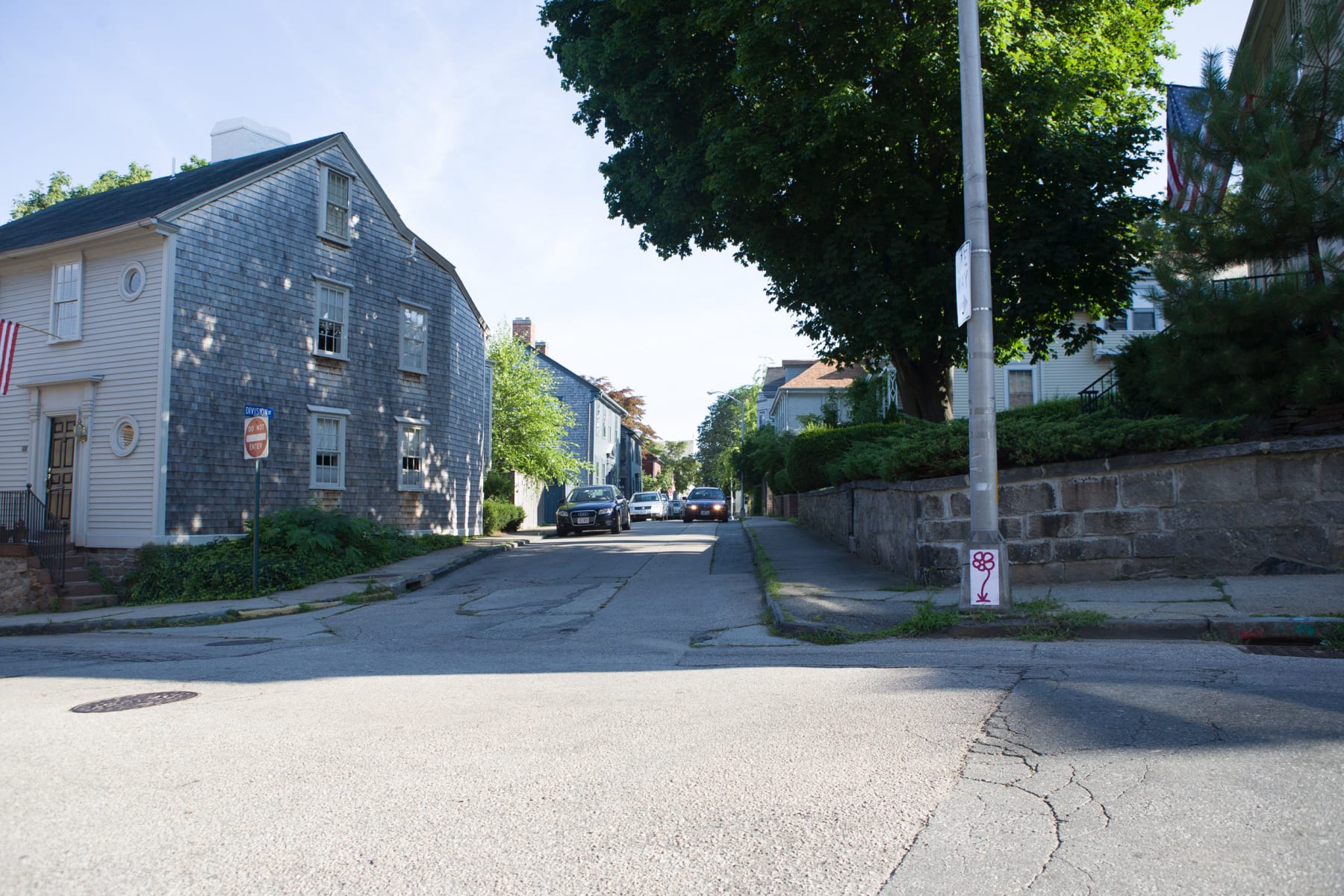 Michael De Feo, Flower (Newport, Rhode Island), 2008