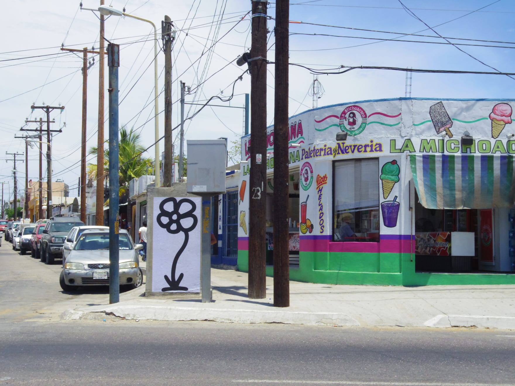 Michael De Feo, Flower (San Jose del Cabo, Mexico), 2013