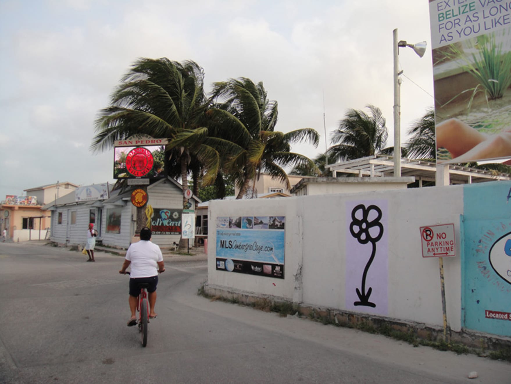Michael De Feo, Flower (San Pedro, Belize), 2013