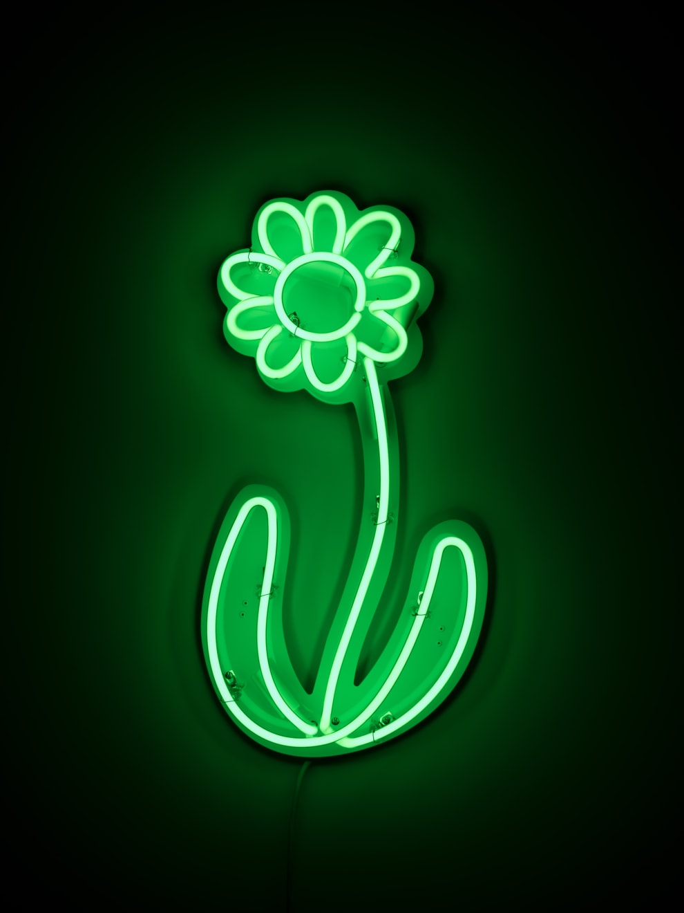 Michael De Feo, Flower (Green), 2015
