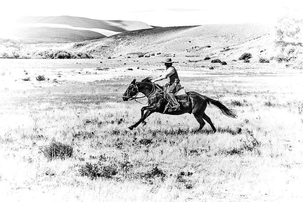 Amanda Rica Taylor, No One Follows Me When I Take To Flight, 2019