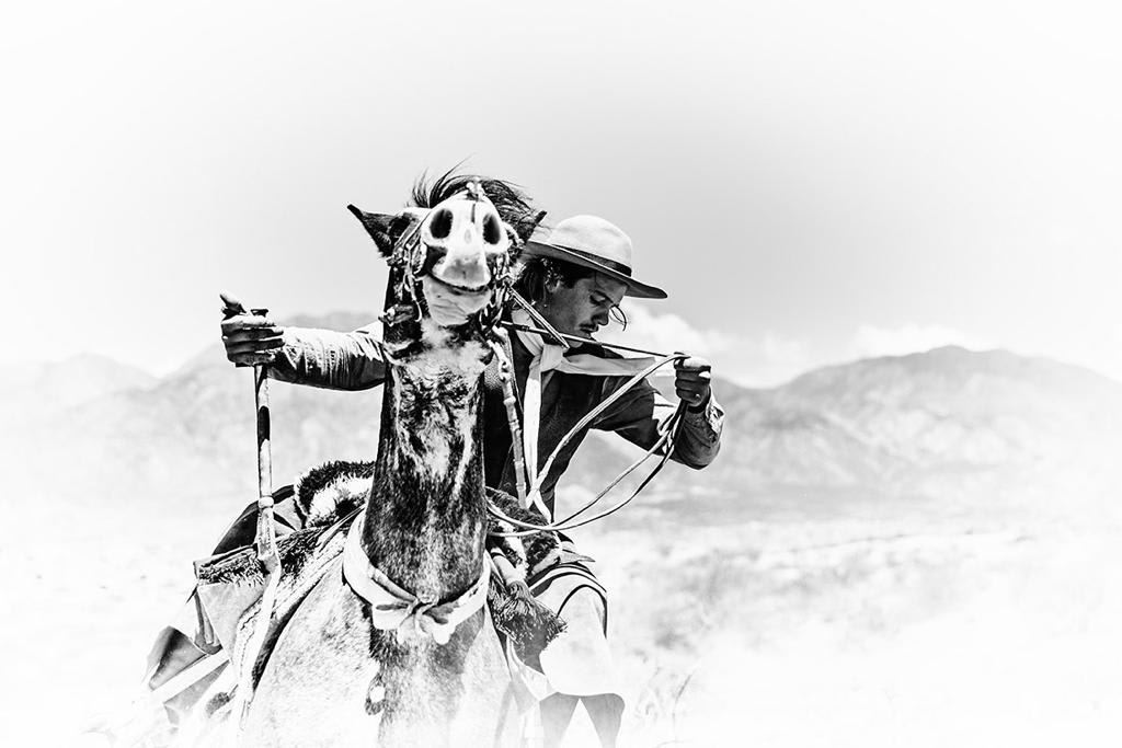 Amanda Rica Taylor, I Am The Bull In My Own Rodeo, 2019