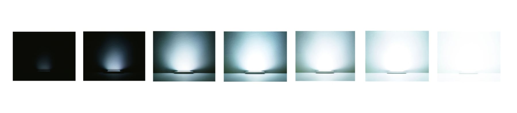 Brigitte Niedermair, The Present, 2012