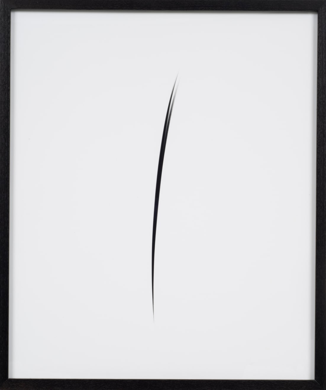 Sheree Hovsepian, Untitled #9 from the "Haptic Wonders" series, 2012