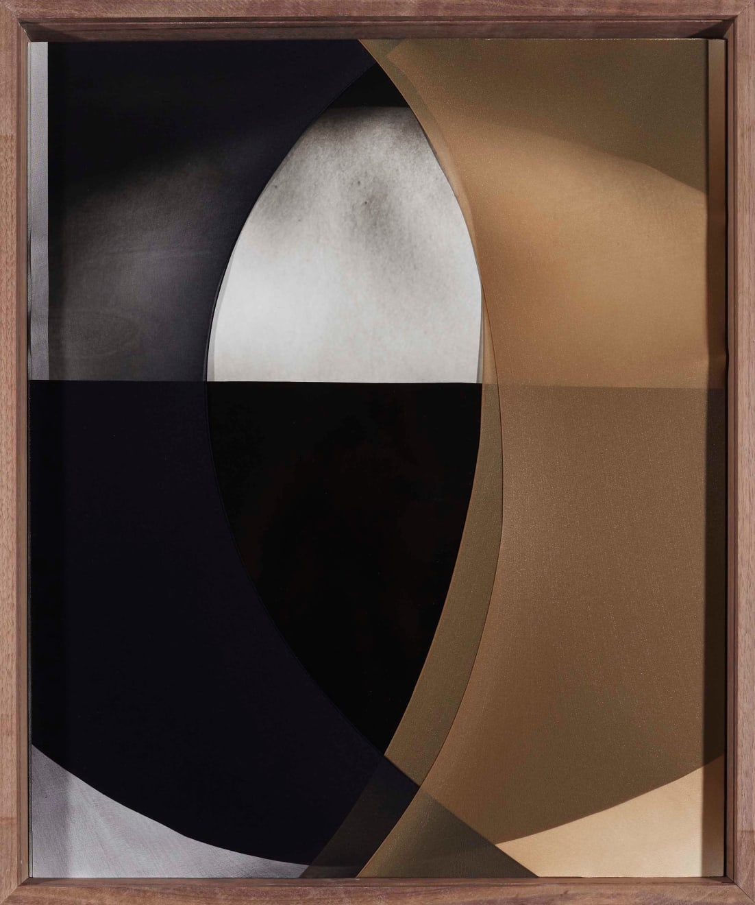 Sheree Hovsepian, Orbit, 2021