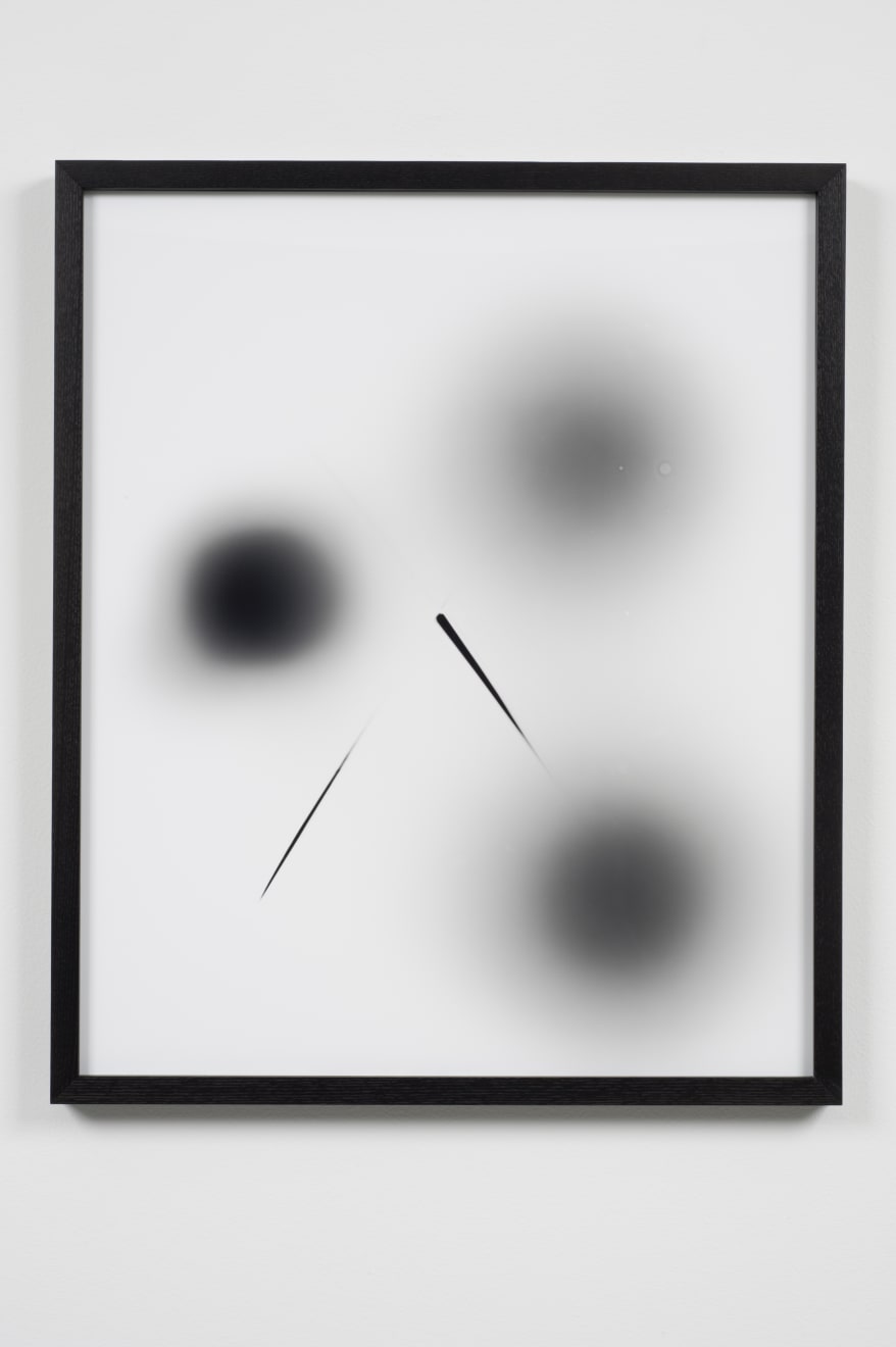 Sheree Hovsepian, Untitled #5 from the "Haptic Wonders" series, 2012