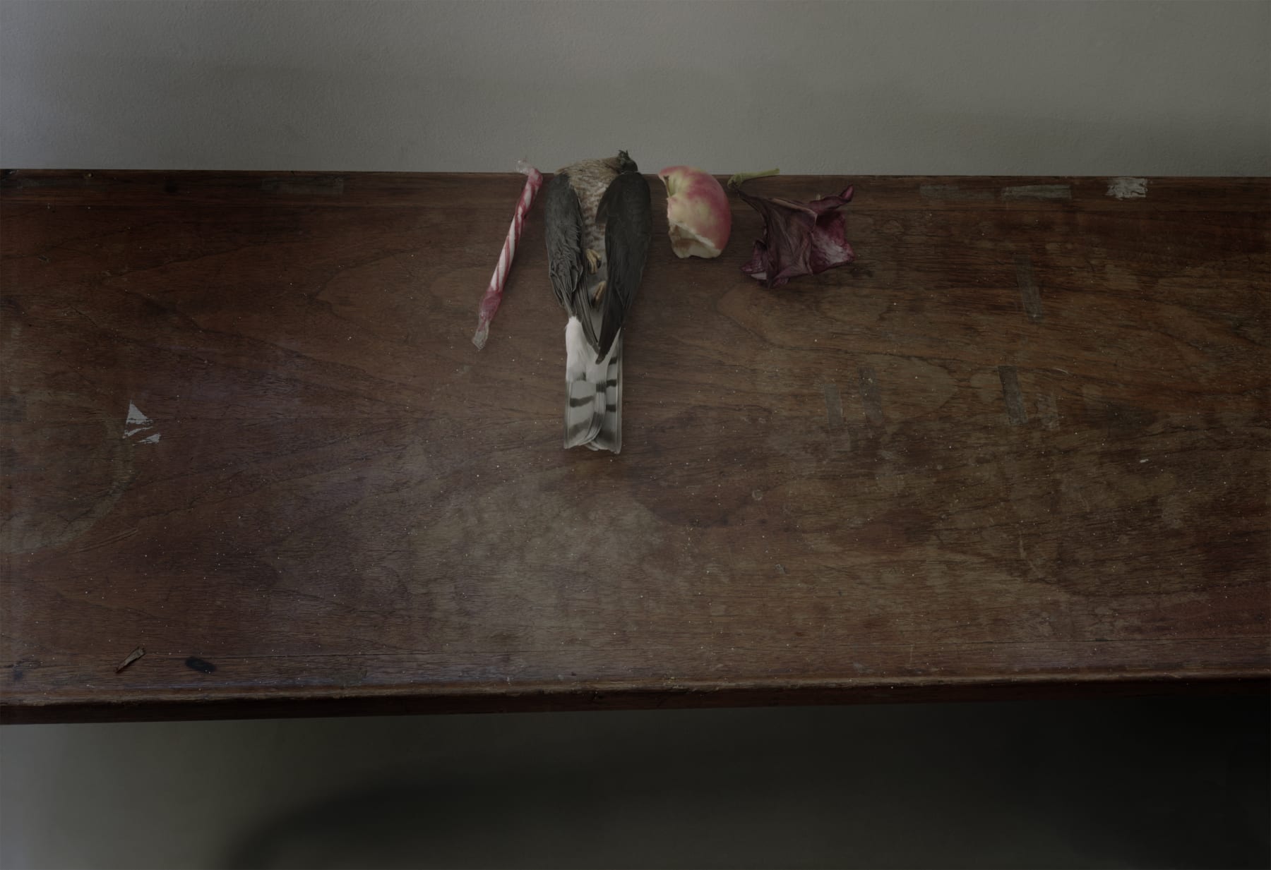 Laura Letinsky, Untitled #24 from 