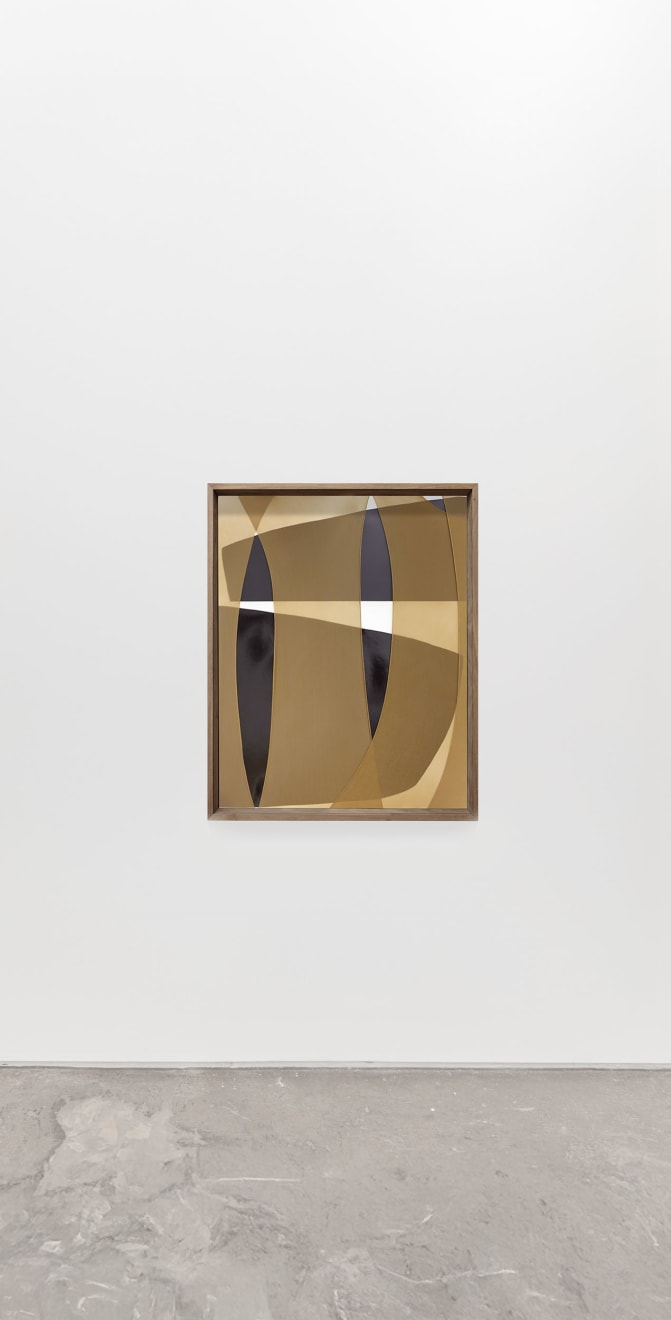 Sheree Hovsepian, Form Body, 2017