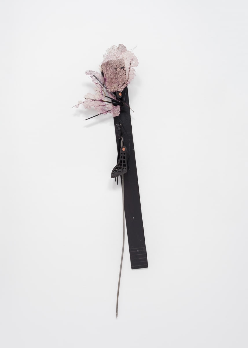 Kate Levant, [a ~ploy~] Propel’dChloe Platform Failure, Trans’for Asiatic, 2016