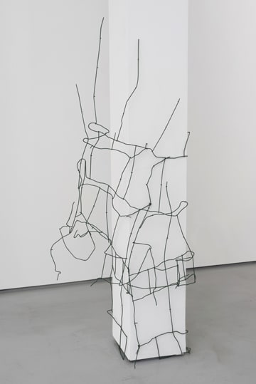 Kate Levant, Trunk Strand Resistance, 2013