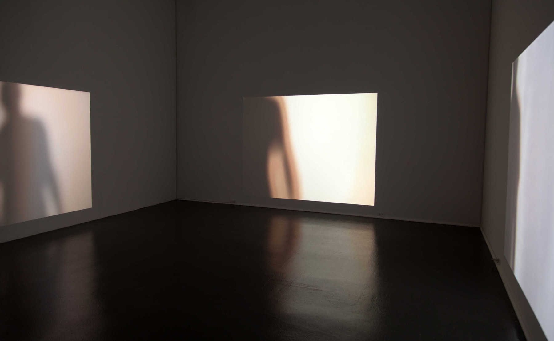 Brendan Fernandes, They, 2014