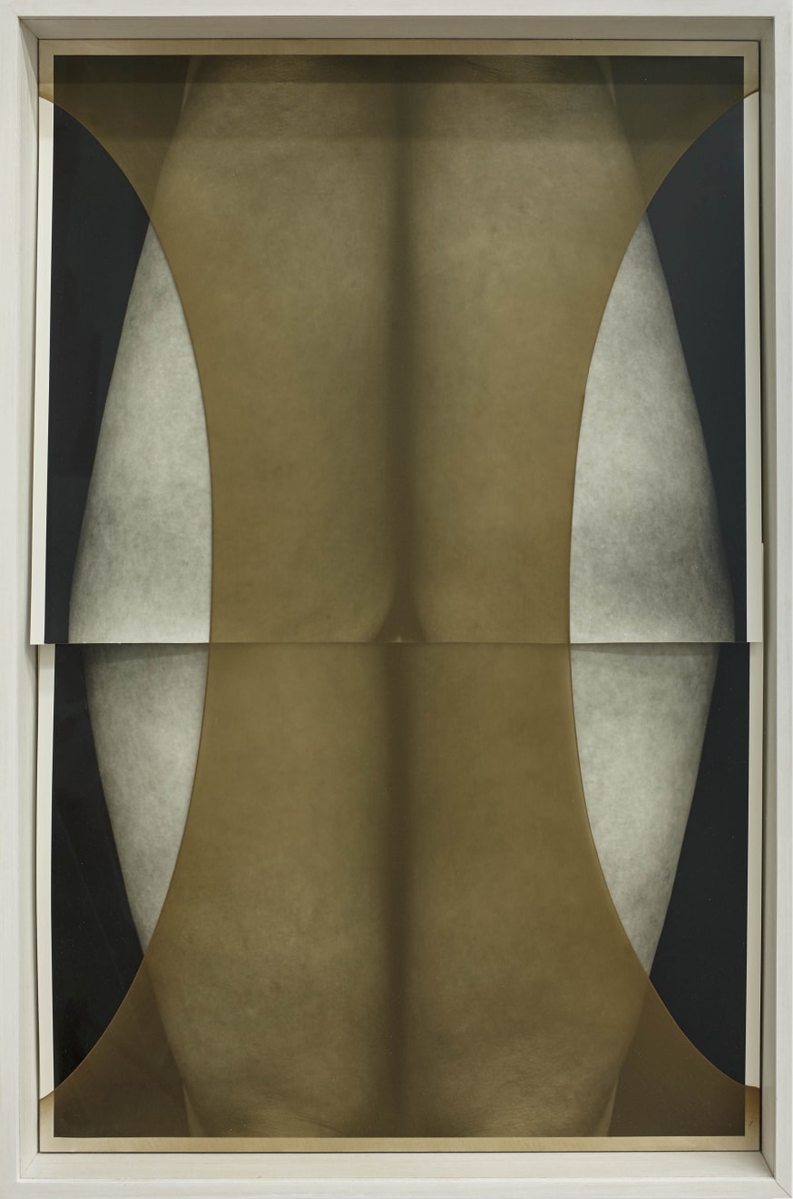 Sheree Hovsepian, Bliss, 2018