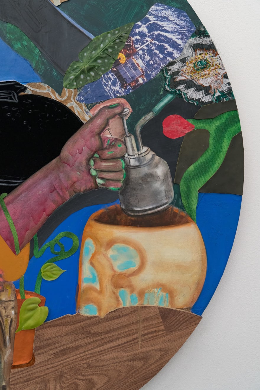 David Shrobe, Repot, 2023